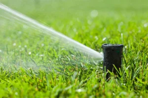 After sprinkler repair by Sprinkler Fix team, sprinkler system properly watering green lawn