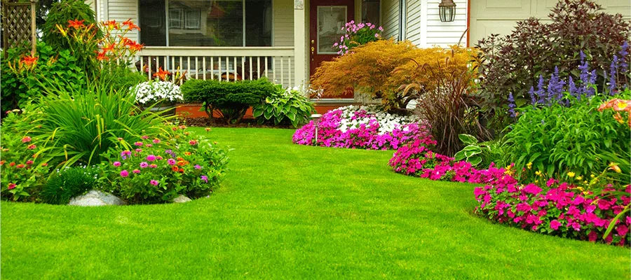 landscape-services-3 a beautiful green lawn with a house